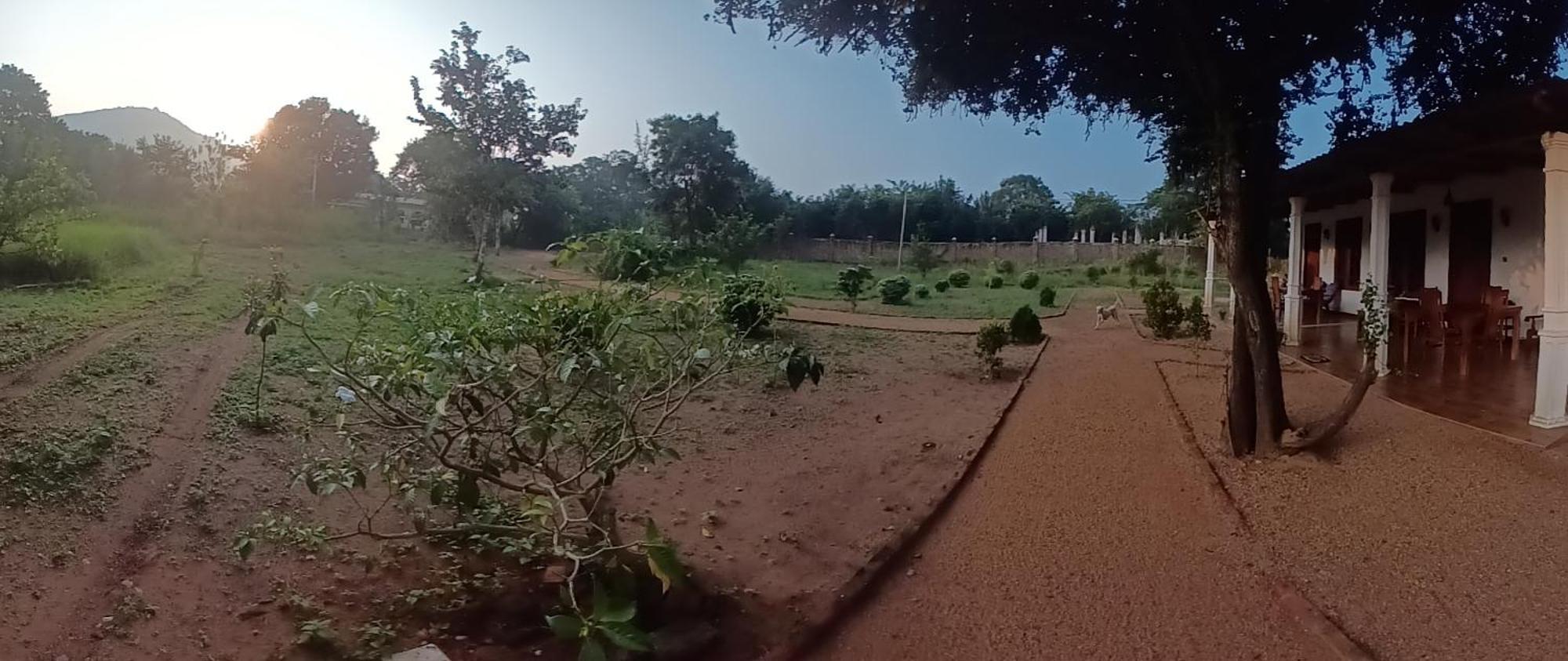 Sigiri Arana Sigiriya Exterior foto
