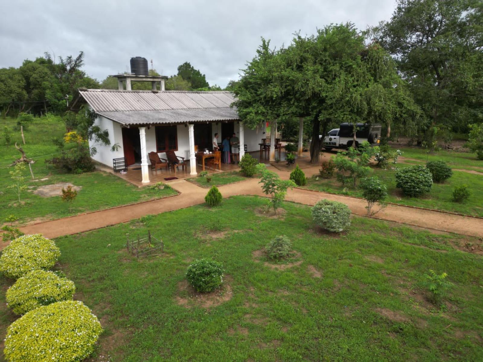 Sigiri Arana Sigiriya Exterior foto