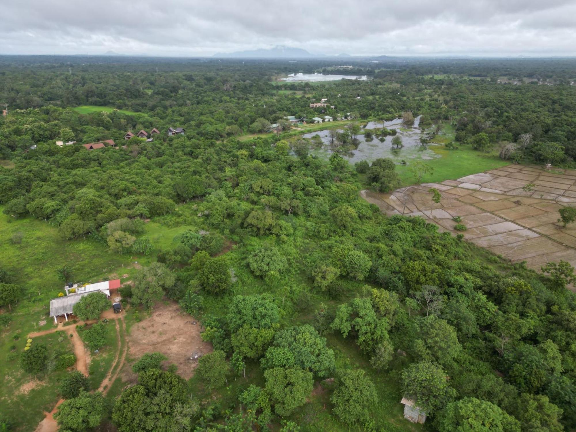 Sigiri Arana Sigiriya Exterior foto